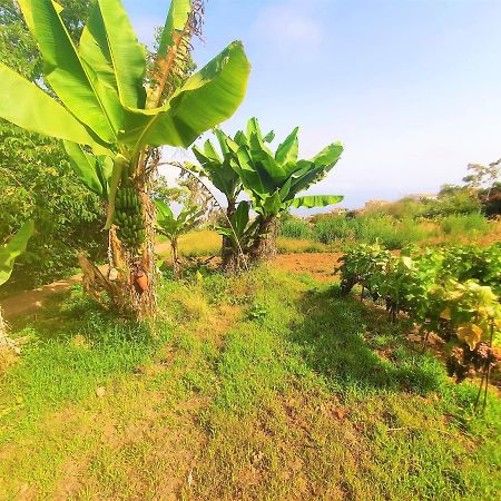 Casa En Finca Ecologica - Wifi La Orotava Esterno foto