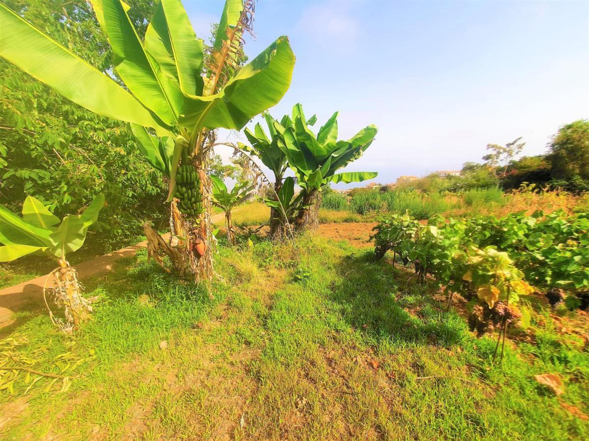 Casa En Finca Ecologica - Wifi La Orotava Esterno foto