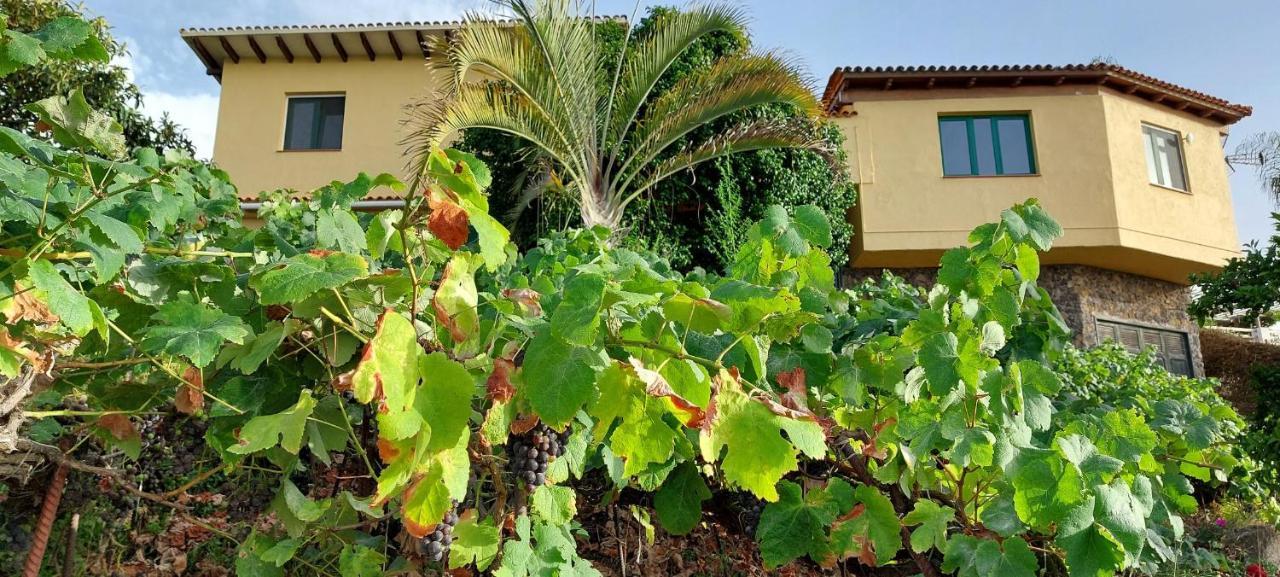 Casa En Finca Ecologica - Wifi La Orotava Esterno foto